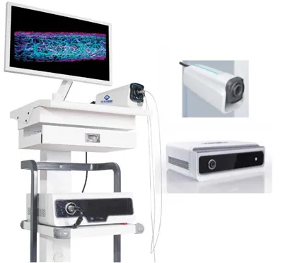 Multimodaal endoscopisch beeldvormingssysteem